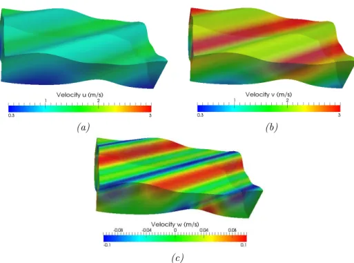 Fig. 5.6 . Surface level of the 3d solution and (a) and (b) horizontal velocities u and v and (c) vertical velocity w.