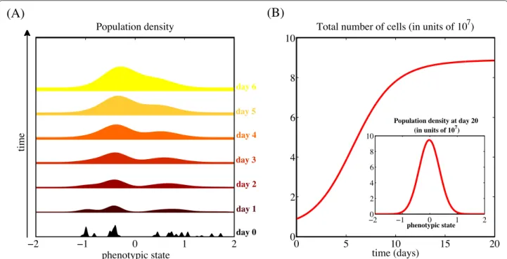 Fig. 1 In the absence of drug, the population evolves to be mainly composed of highly proliferative cells