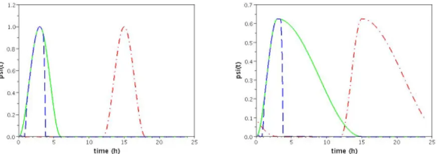 Fig. 3 Gating functions ψ i (t) at 2 phase transitions representing as functions of time the theo- theo-retical activity of the two Cyclin-Cdk complexes (for G 1 /S and G 2 /M ) under circadian control, with a dephasing set at 12 hours between phase transi