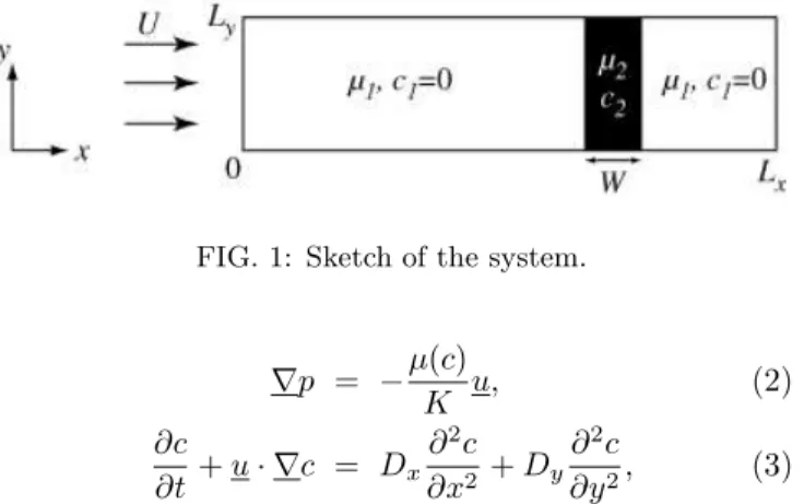 FIG. 1: Sketch of the system.