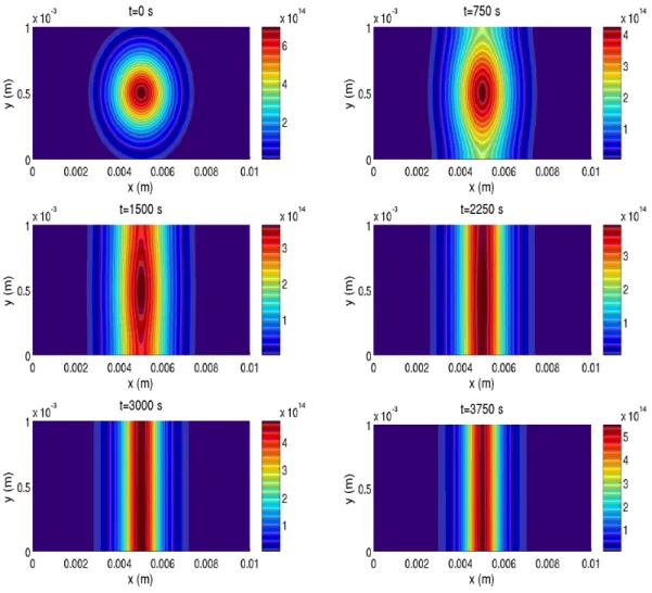 Figure 4: Dynamis of the density ρ of ells in the devie for model (1.5).