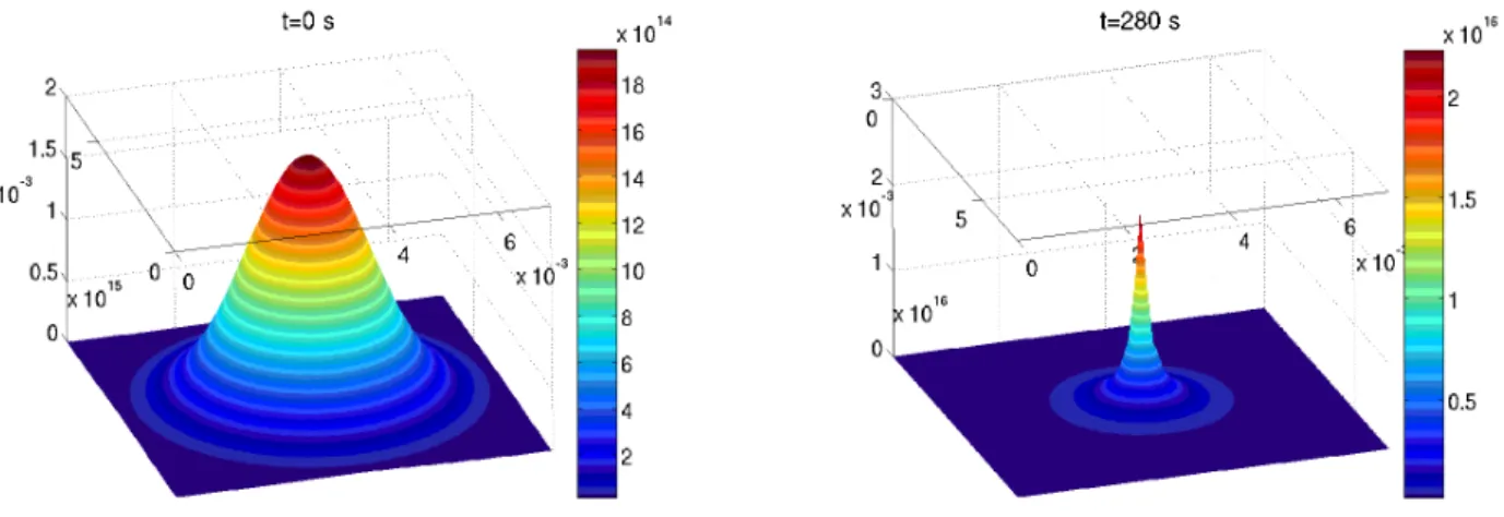 Figure 6: Dynamis of the density ρ of ells for a square domain with the ∂ t S dependene of