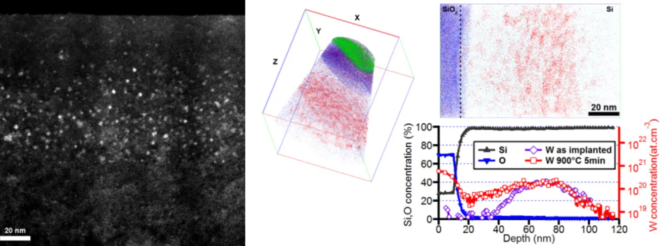 Figure 5. HAADF (left) and APT (right) analysis of the sample oxidised at 900°C for 5min revealed  that precipitate density follows the as-implanted tungsten concentration profile