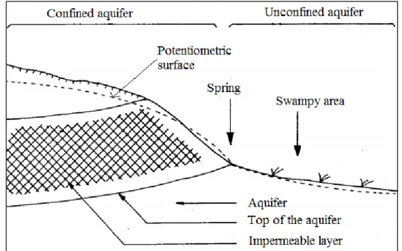 Figure 12:  Springs in Douala. 