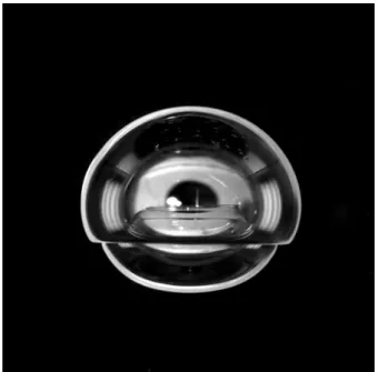 Figure 1 – Rétraction du film créé entre les bulles après rupture de ce dernier.