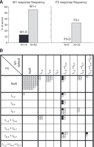 Fig. 10. Comparison between axon responses evoked by stimulation of F5 and of M1. A: comparison of the responsiveness of axons to M1 and F5  stimula-tion