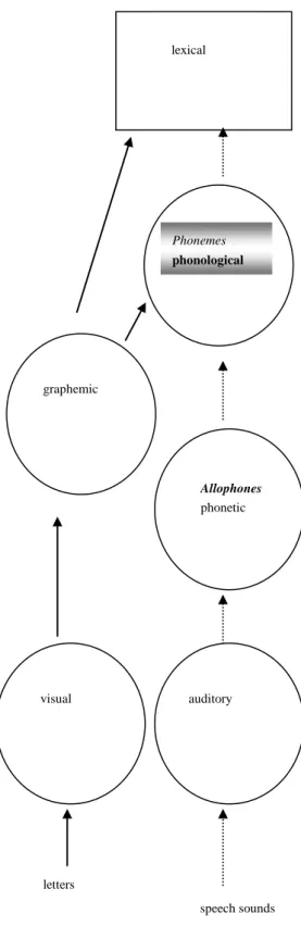 Figure 1  Phonemes  phonological letters  speech sounds              lexical graphemicAllophones phonetic auditoryvisual 