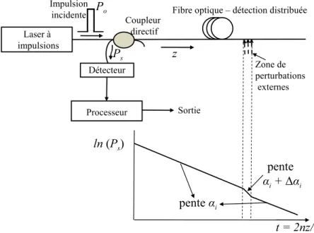 Fig. 1.8: La configuration de mesure par r´eflectom´etrie optique dans le domaine temporel OTDR.