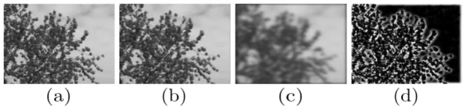 Figure 3: An instance of 3D Gaussian-based filters. (a) is an input gray- gray-scale frame of a DT video