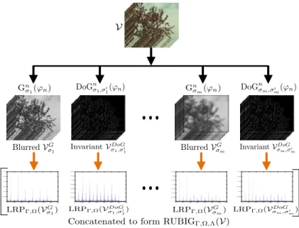 Figure 1: Illustration of proposed framework for DT representation.