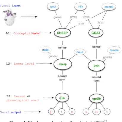 figure below illustrates this process for the word  ‘ sheep ’ . It is inspired  by the work done by Levelt and his colleagues (1999)