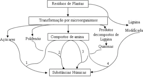 Figura  2: Principais vias propostas para a formação de substâncias húmicas pela decomposição de resíduos animais e  vegetais no solo