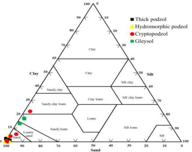 Figure 2. 4: Texture triangles for the soil profiles of the thick podzol , hydromorphic podzol, cryptopodzol, and gleysol
