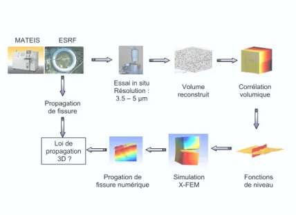 Figure 1. Couplage entre microtomographie RX, mesure de champ 3D par corrélation d’images volumiques étendue, simulation 3D multi-grilles X-FEM en vue de l’analyse de la propagation 3D de fissures.