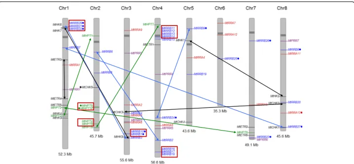 Fig. 2b). A similar distribution of HK ethylene receptors is observed in the other five legume genomes analyzed (Additional file 3)