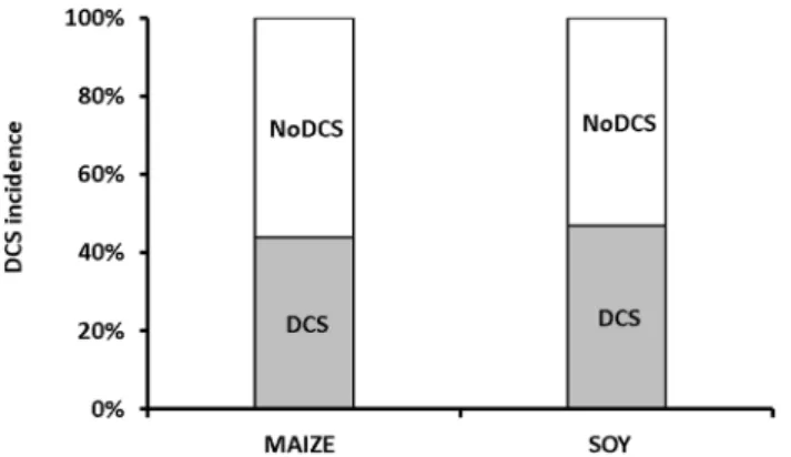 Figure 1.  Percent of symptomatic rats 30 min after an at-risk decompression as a function of diet