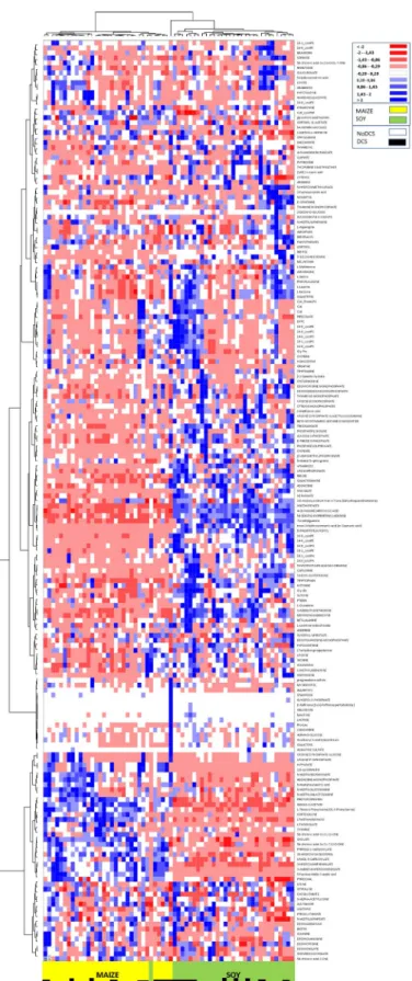 Figure 5.  Heat Map, i.e. hierarchical clustering of fecal metabolomes from rats (n = 64) fed with maize (yellow)  or soy (green)