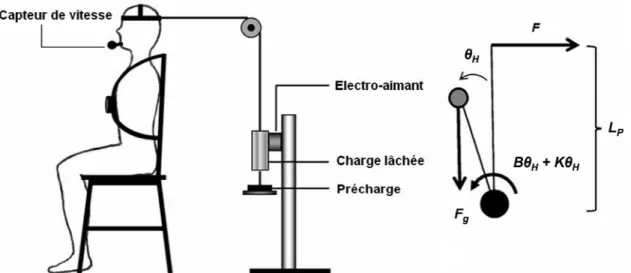 Fig. 28. Dispositif élaboré par Simoneau et coll. en 2008. Le principe de perturbation est semblable à celui  de  Tierney  et  coll