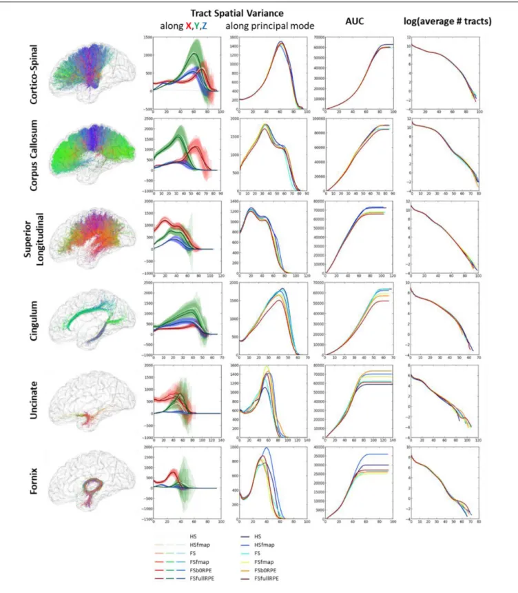 FIGURE 8 | Results of the global tractography reconstruction and spatial dispersion analysis