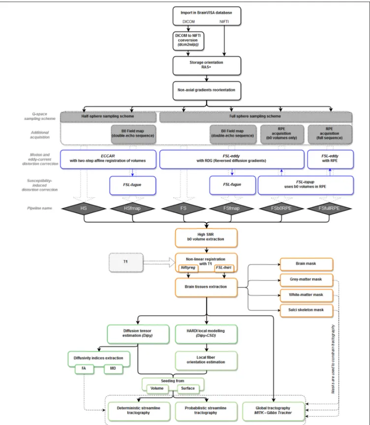 FIGURE 1 | Workflow of the Diffuse toolbox for DWI data processing implemented in the BrainVISA software platform