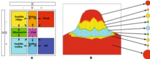 Figure 1: A. Adjacency rules between the patches. B. Shape- Shape-Curvature-Graph after enrichment