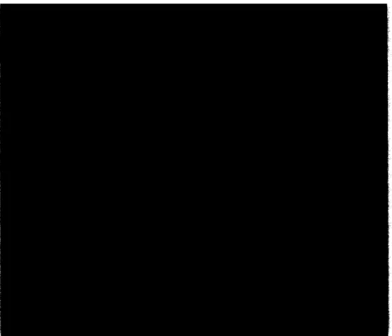 Fig.  4.  Same  visualization  as  in  Figure  3 but at time  t  5.  A  few  reconnections  have  occurred