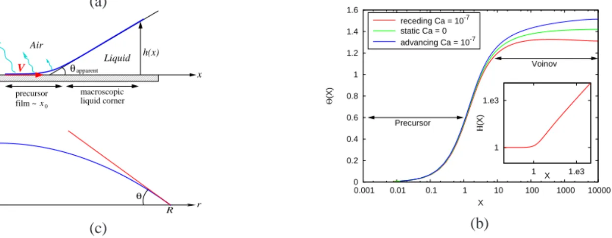 Figure 1: (a) Notations for the model studied in Section 1 of a liquid moving at constant speed V on a totally wetting substrate and undergoing evaporation
