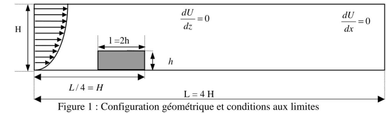 Figure 1 : Configuration géométrique et conditions aux limites 
