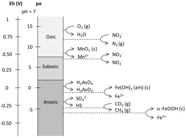 Figure I-4: Redox scale of environmentally relevant redox couples. The Eh and pe values (with E h  = 0.059 pe)  were calculated at pH 7 with concentrations of all dissolved constituents equal to 1 M except for Fe 2+  (10 −5  M),  and CO 3 2−  (3 10 −3  M)