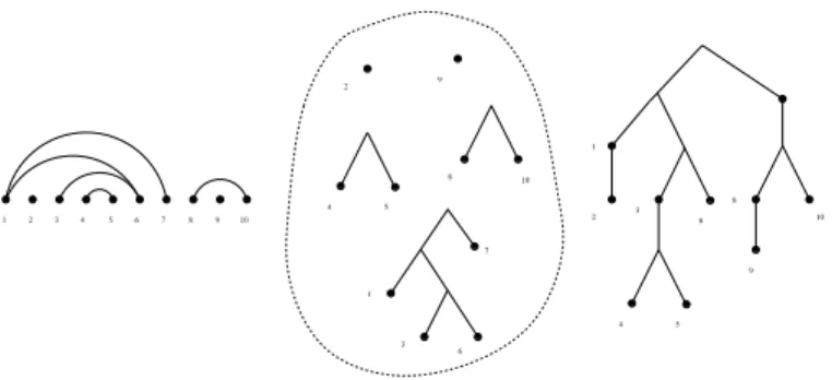 Fig. 2: Bijection between unary binary trees and noncrossing alternating forests