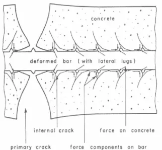 Figure I-9 : Répartition des fissures primaires et secondaires dans le béton, localement près de la barre de  renfort en acier (Goto 1971) 