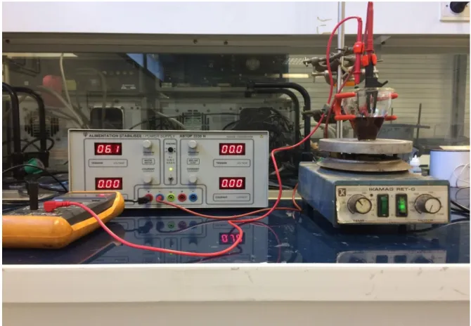 Figure 4 : Montage de la technique EPD. 