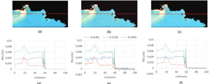 Figure 44 : Images FCI simulées à 14h sans bruit (a), avec bruit (b), après filtrage de bruit (c) et  leurs profils horizontaux correspondant (d), (e) et (f) 