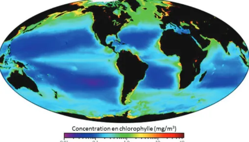 Figure 2 : Concentration moyenne en chlorophylle du 15 septembre 1997 au 1 janvier 2004 à partir  des observations SeaWiFS (NASA) (source : http://earthobservatory.nasa.gov) 