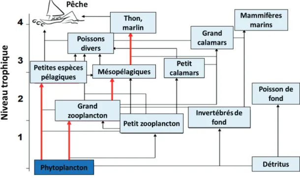 Figure 6 : Diagramme des groupes de flux inspiré de Christensen and Pauly, 1993 