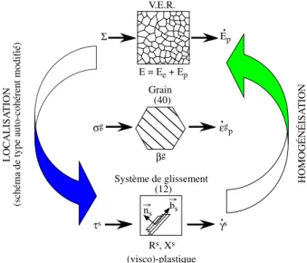 Figure 13: principe du mod` ele polycristallin