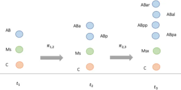 Figure 2: Lineage allows to link cells between time steps. In the classical convention used for describing C
