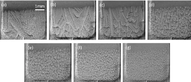 Fig. 7: Radiographs showing the almost final grain structure during directional solidification of  a  refined  Al-20wt%Cu  alloy  in  an  applied  temperature  gradient  G app   =  11.1  K/mm  with  increasing growth velocity: (a) &lt;V N &gt; = 4.3 µm/s; 