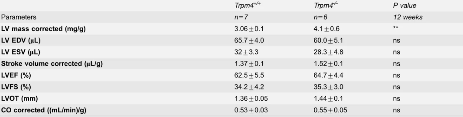 Table 4. Left Ventricular functional parameters in 12 weeks-old Trpm4 +/+ and Trpm4 -/- sedated mice.