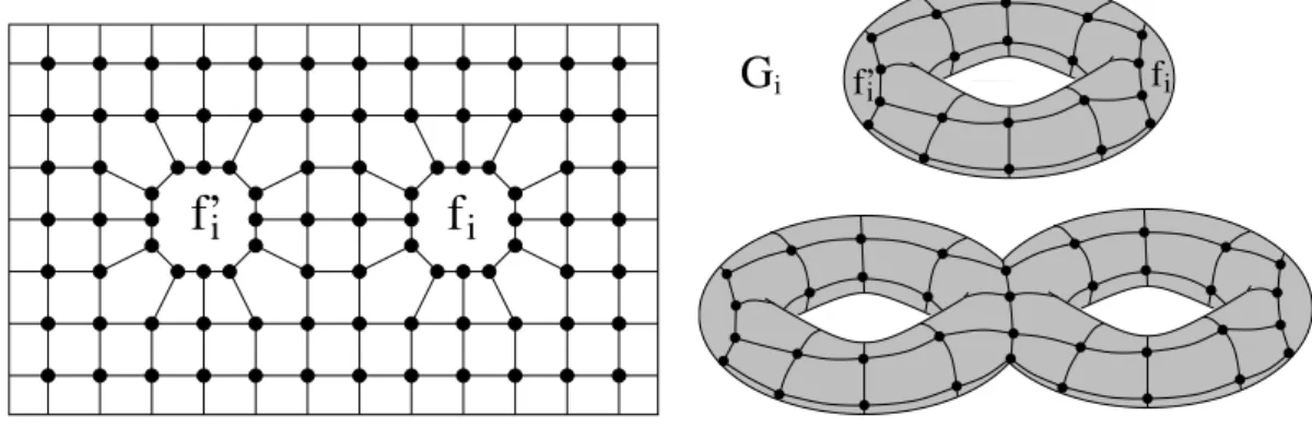 Figure 9: A toroidal map G i with two distinguished faces, f i and f i 0 . Take g copies G i with 1 ≤ i ≤ g and glue them by identifying f i and f i+10 for all 1 ≤ i &lt; g