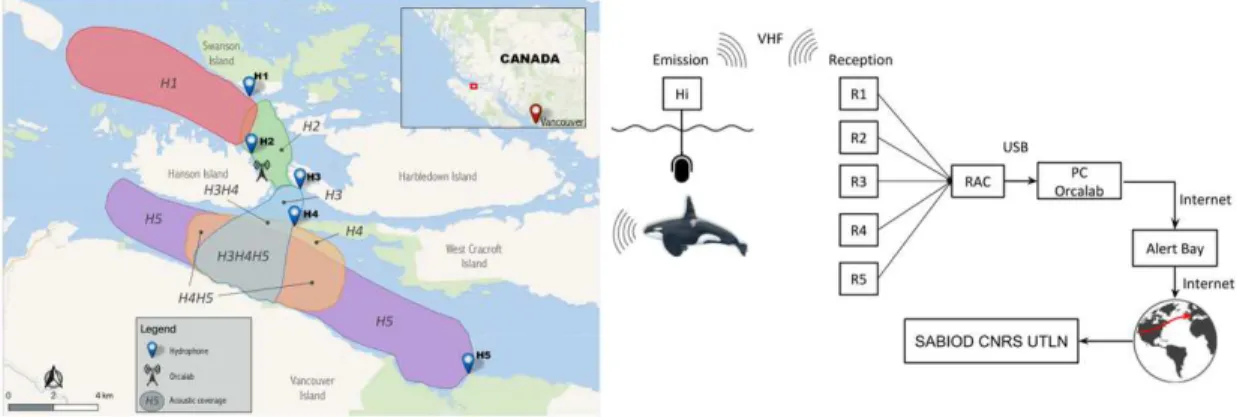 Figure 1. Left: Map of the area and the listening range of the 5 hydrophones H1 to H5