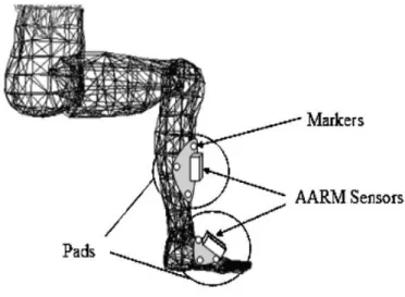 Figure 1.23 : Représentation de l’estimation de l’orientation articulaire dans O'Donovan et al