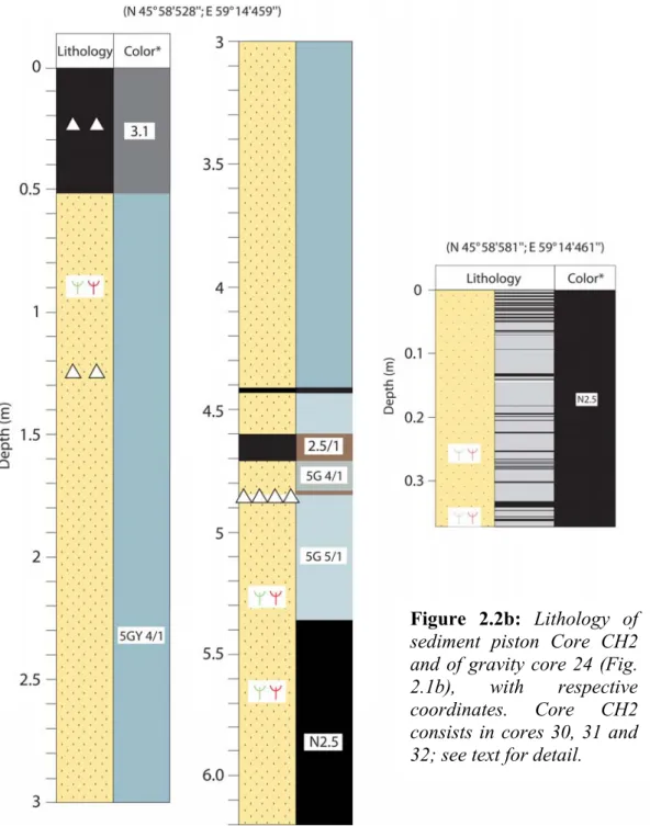 Figure 2.2b:  Lithology of  sediment piston Core CH2  and of gravity core 24 (Fig. 