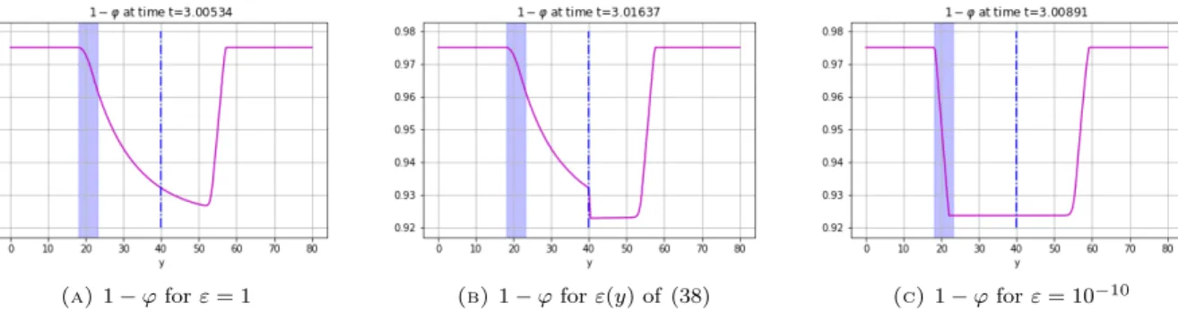 Figure 6. Liquid mass fraction at final time for different values of ε (in blue the area where Φ 6= 0; the dashed line corresponds to the discontinuity of ε)