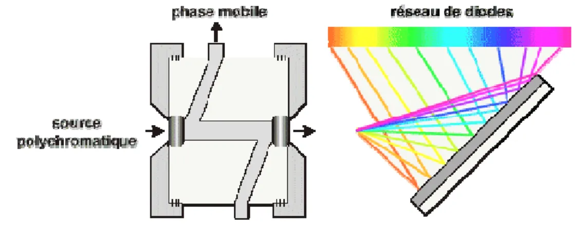 Figure 12 : Schéma décrivant l’architecture du détecteur spectrophotométrique couplé à la CLHP