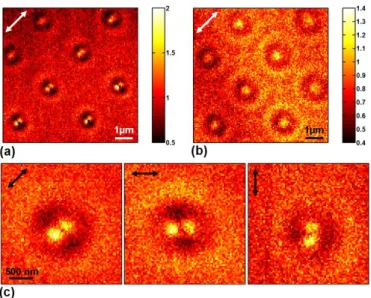 Figure 2: Fluorescence images measured at h 1  = 0 nm (a) and h 2  = 250 nm (b) above the  200 nm-diameter nanodisks (D200)