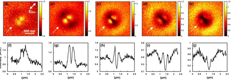 Figure 4: Fluorescence maps of isolated nanodisks (a,b,c,d,e), and cross-sections extracted from the fluorescence maps (f,g,h,i,j)