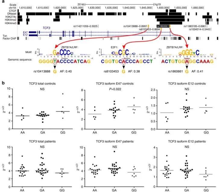 Figure 5 | Bioinformatic and expression analysis of the TCF3 SNP. (a) Browser view of TCF3 genomic region
