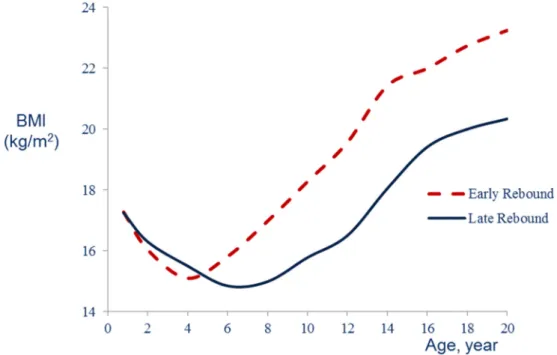 Figure 1. Body mass index (BMI) (kg/m 2 ) development according to age (year) at adiposity rebound  (after [3])