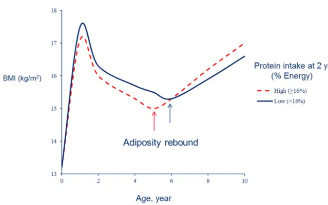 Figure 2. BMI development according to protein intake at 2 years (Etude Longitudinale Alimentation  Nutrition et Croissance des Enfants (ELANCE) study) (after [9])